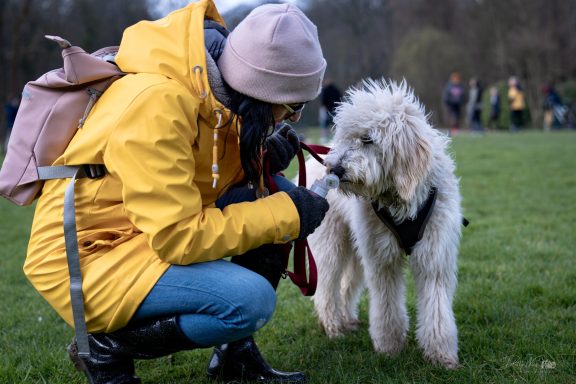 Frau gibt ihrem Hund einen Snack im Park, beide in Bewegung, im Hintergrund eine natürliche Parklandschaft.